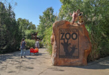 Nashville Zoo Announces Cancellation of Zoolumination