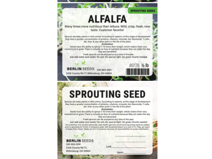 Sprouting Seeds