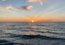 OBITUARY: Darwin E. White obit88