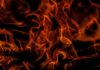 Dog Killed, Man Loses Home in Robertson County Camper Fire