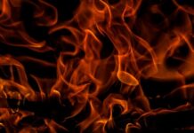 Dog Killed, Man Loses Home in Robertson County Camper Fire