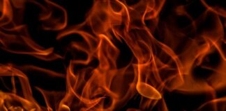 Dog Killed, Man Loses Home in Robertson County Camper Fire