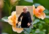 OBITUARY: Linda Jean Miller Linda-Jean-Miller