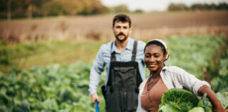 MTSU Receives Grant To Expand Farmer Mental Health Resources