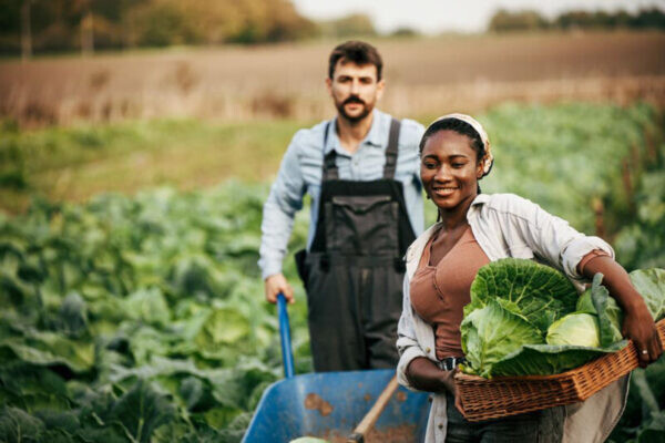 MTSU USDA grant3