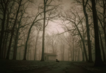 13 Stories of the Weird and the Haunted in Middle Tennessee
