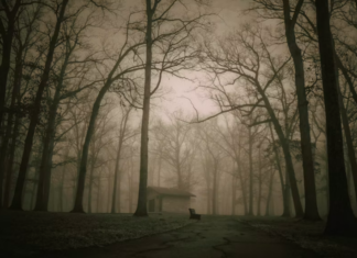 13 Stories of the Weird and the Haunted in Middle Tennessee