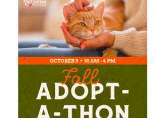 Petsense by Tractor Supply Hosting Fall Adoptathon With Goal of 1,200 Pet Adoptions