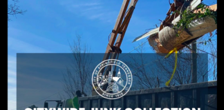 Springfield Fall Junk Collection Begins Oct. 1