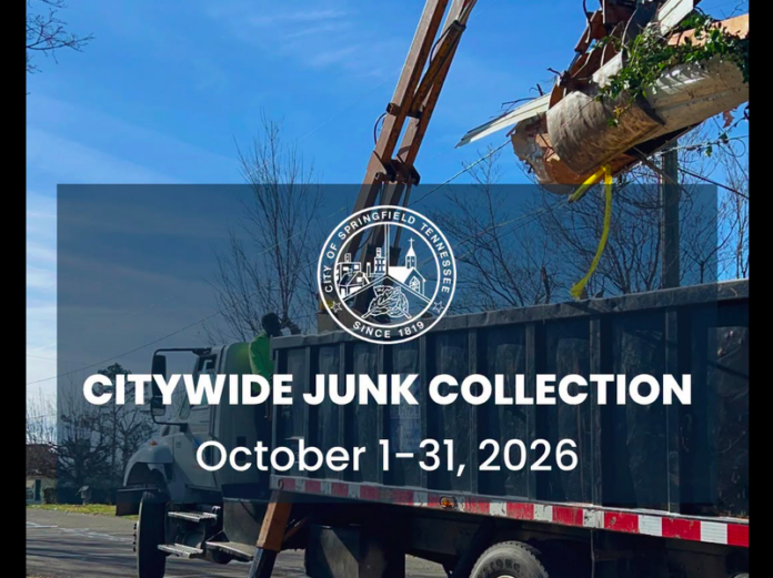 Springfield Fall Junk Collection