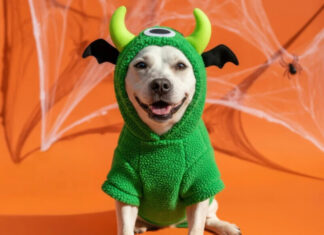 Tanger Outlets Nashville to Host Barktober Pet Costume Contest