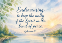Daily Devotional: Embracing the Spirit of Unity Devotional image for Ephesians 4:3