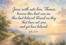 Daily Devotional: The Blessing of Belief Devotional image for John 20:29