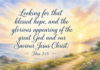 Daily Devotional: Embracing Hope in Every Season Devotional image for Titus 2:13