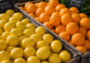 Retail Food Health Scores for Robertson County October 13, 2026 health scores