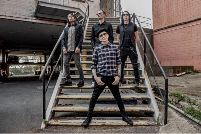 everclear.jpg
